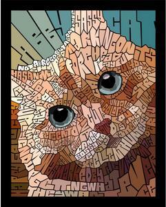 ORANGE TABBY CAT by Curtis Epperson - PoP x HoyPoloi Gallery